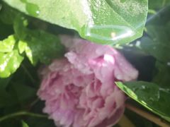 -长春公园(普阳街道)