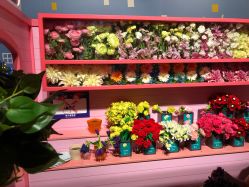 -幻贝家儿童乐园(苏州中心店)