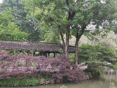 -上海醉白池公园
