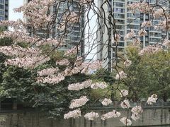 -红星桥(地铁站)