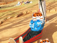 -前关湿地公园