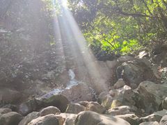 -梧桐山风景名胜区