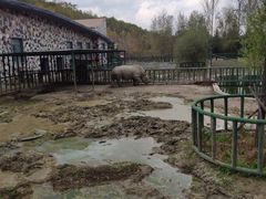 -哈尔滨北方森林动物园