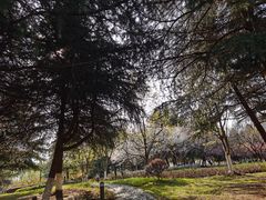 -白塘生态植物园