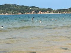 -海驴岛(荣成市)