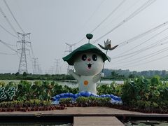 -池杉湖湿地公园