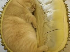 -保利国际影城(万家邻里店)