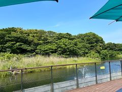 -济州森林小火车生态公园