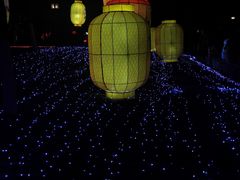 -眉山湿地公园(东坡区)