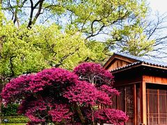 -棕榈岛海鲜自助餐厅(虹桥迎宾馆店)
