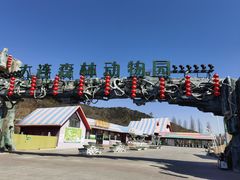 -大连森林动物园