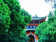 -铁山坪森林公园