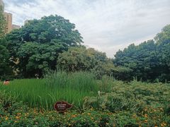 -成都市活水公园