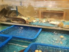 -盛宴自助餐厅(运达喜来登店)