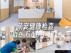 -康成宠物医院24H·CT·核磁共振