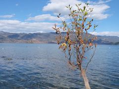 -丽江泸沽湖景区