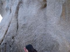 -惠州金海湾嘉华度假酒店