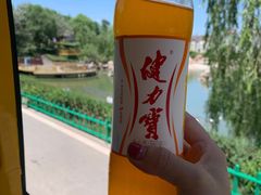 -青藏高原野生动物园