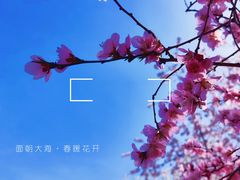 -桃花堤公园