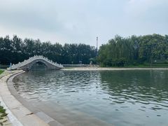 -柳浪游泳场