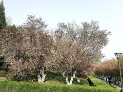 -元大都城垣遗址公园