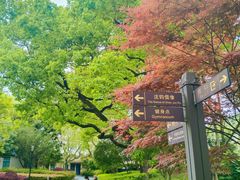 -徐家汇源景区-衡山公园