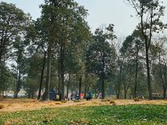 -两河城市森林公园