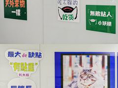 -十年猫舍·猫咪专门店(普陀店)