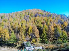 -驼梁风景区