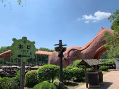-太阳部落