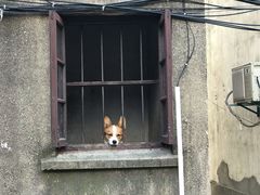 门面-荣阳楼(山塘街店)