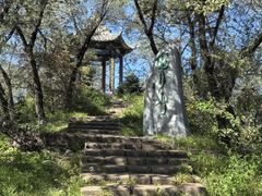 -九转小磨·非遗东北菜(万达广场店)