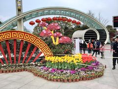 -南山植物园