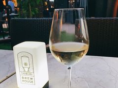 -Shanghai Brew House上海啤酒工坊(老外街店)