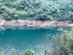 -大奇山国家森林公园