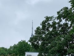 -食膳公园包子铺(烈士公园店)