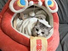 -凯德广场(金牛店)