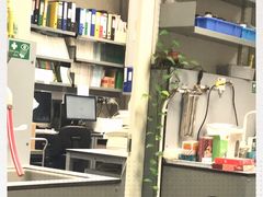 -香港大学