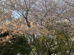 -凤城河风景区