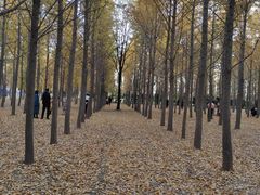 -汉景帝阳陵博物院