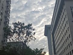 -北京医院