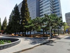 -中央民族大学