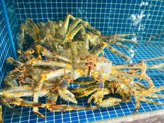 -骏莱海鲜鱼港(五角场店)