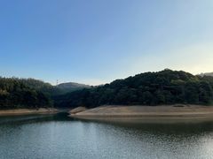 -东莞市大岭山森林公园