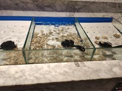 -火锅岛潮牌自助餐厅(天津天佑城店)