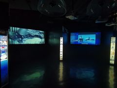 -同济大学四平路校区深海探索馆