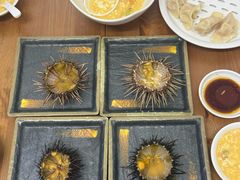 -海胆小馆(东北水饺·春柳店)