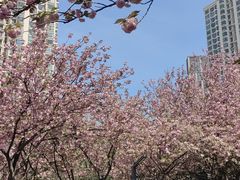 -苏州河梦清园环保主题公园