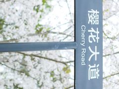-苏州上方山国家森林公园