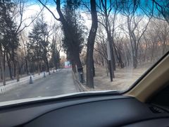 -枫花园汽车电影院(朝阳公园店)